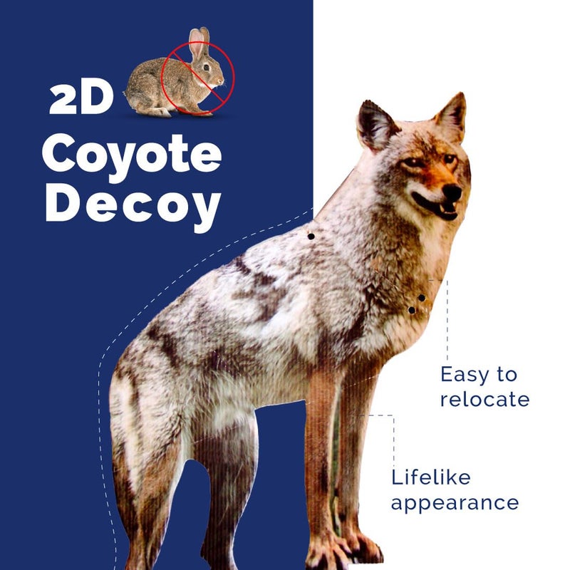Bird-X 2D Hunting Coyote Predator Decoy - Targets Canada Geese, Deer and Rabbits Deterrent, Yard Ornament - Image 2