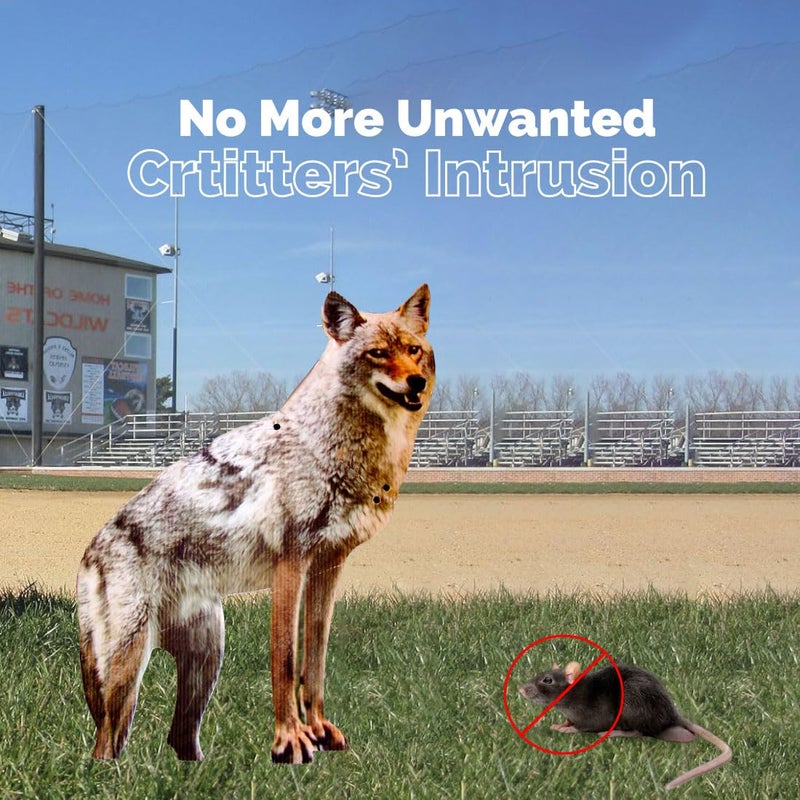 Bird-X 2D Hunting Coyote Predator Decoy - Targets Canada Geese, Deer and Rabbits Deterrent, Yard Ornament - Image 3