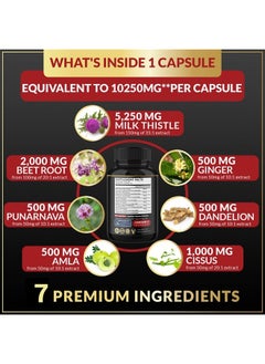 BMVINVOL (3 Months Supply) Milk Thistle Capsules 10250 mg - Supports Healthy Liver Function - High Potency with Beet Root, Cissus, Punarnava  - Image 2