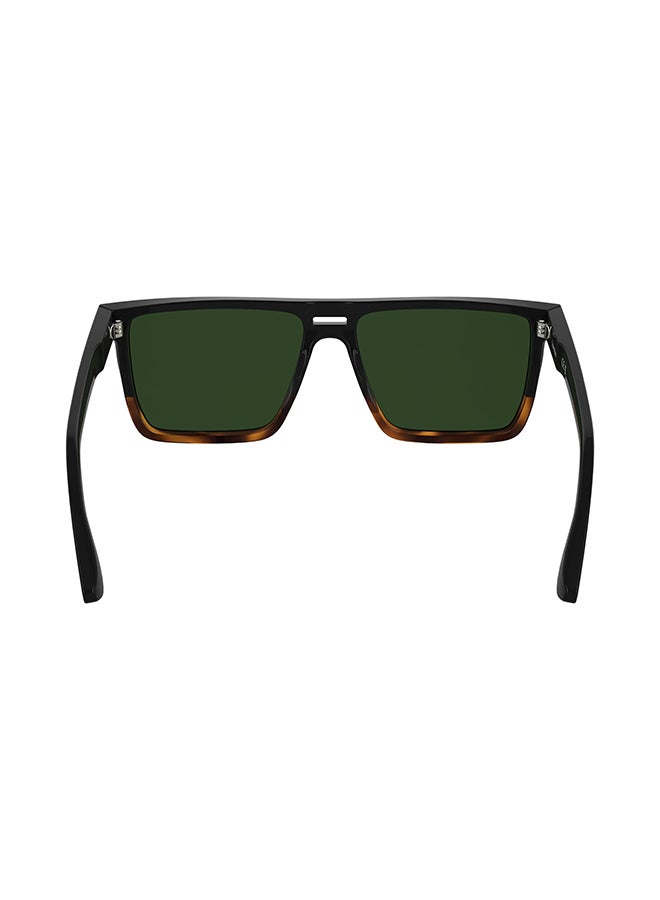 CALVIN KLEIN نظارات شمسية كاملة الإطار من أسيتات كالفن كلاين CK25501S 5716 (006) أسود/هافانا - Image 3