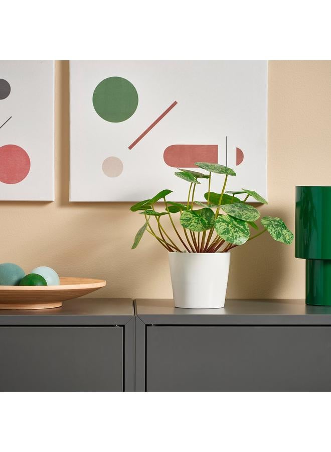 Green Tiger Artificial Potted Plant, In/Outdoor Pilea, 9 Cm - Image 2