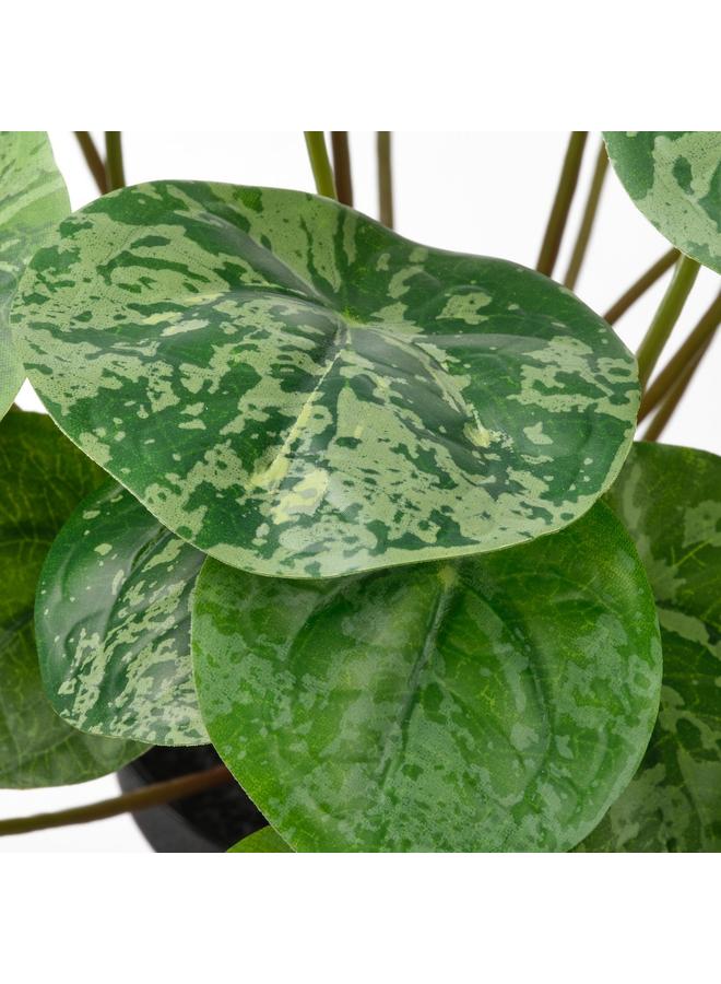 Green Tiger Artificial Potted Plant, In/Outdoor Pilea, 9 Cm - Image 4