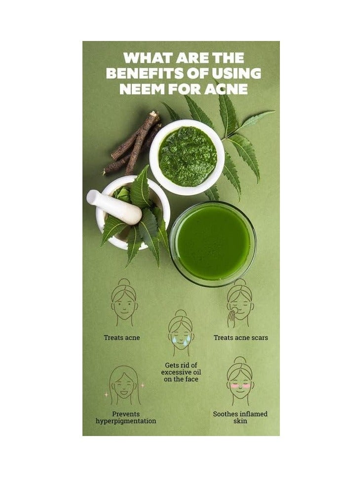 مملكة الإكسسوارات مسحوق النيم (٥٠ غرامًا) - طبيعي ونقي ١٠٠٪ | مناسب للبشرة والشعر | يُحارب حب الشباب والبقع ويهدئ البشرة المتهيجة | يُقوي الشعر ويُقلل من القشرة ويُعزز صحة فروة الرأس - Image 4