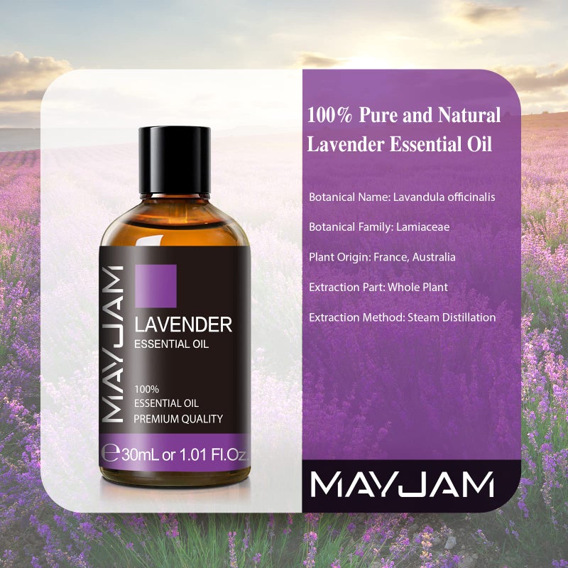 MAYJAM Lavender Essential Oil 30ML/ 1.01FL.OZ, MAYJAM Pure Aromatherapy Lavender Oil for Massage, Diffuser, Soap Making, Long Lasting Scents - Image 3