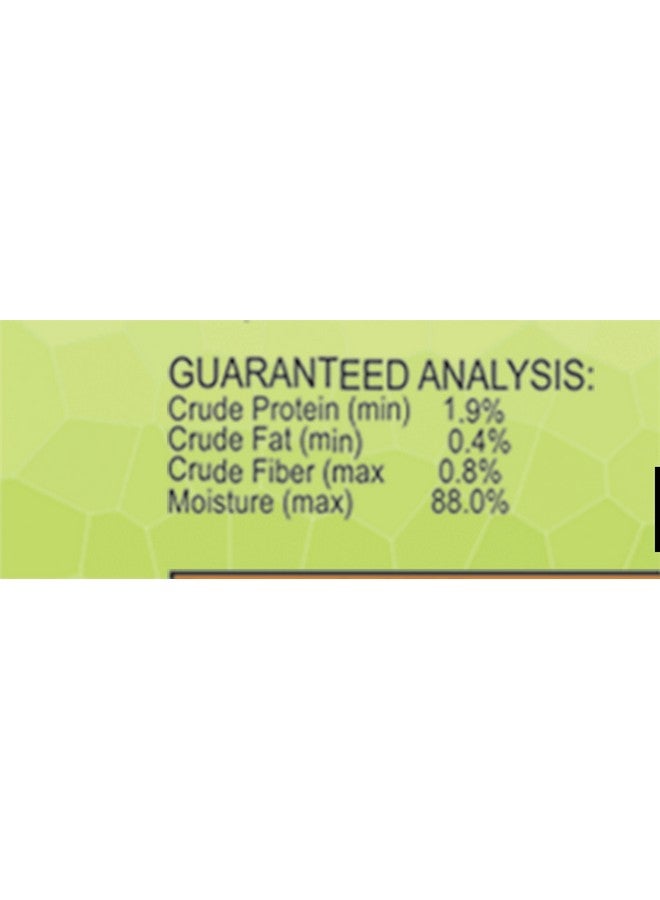 نايتشر زون طعام جيكو بايتس سوفت مويست من Snz54641، 9 أونصة - Image 5