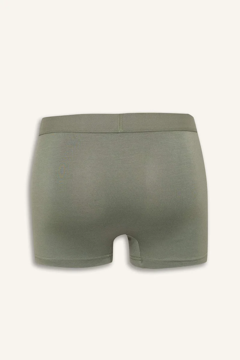 DeFacto Premium Regular Fit Modal Boxers