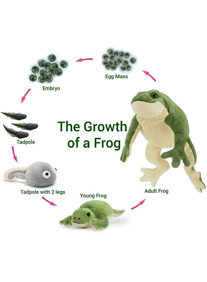 MaoGoLan Large Frog Plush Stuffed Animalsstuffed Frog Mommy And 4 Cute Babies Frog Pillow Plush Toy 20 Inch Realistic Plush Toad Set Goliath Frog Stuffed Animal Birthday Gift For Kids - Image 3