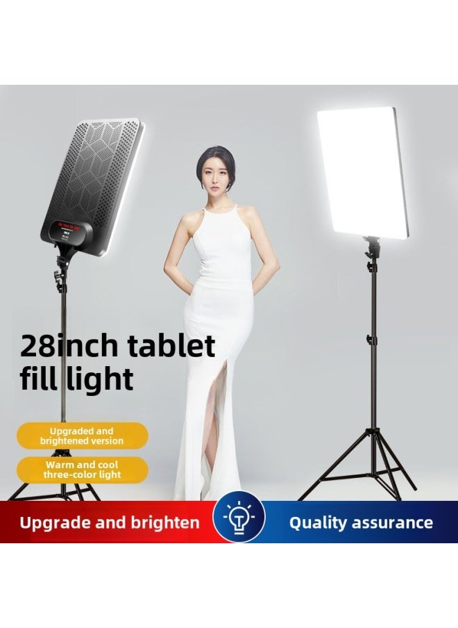 Generic SOURCE Manufacturer One-piece Delivery Live Fill Light Photography Shooting Lighting Photo Anchor Dedicated LED Live Studio-Specifications: + Floor Stand  - Image 3