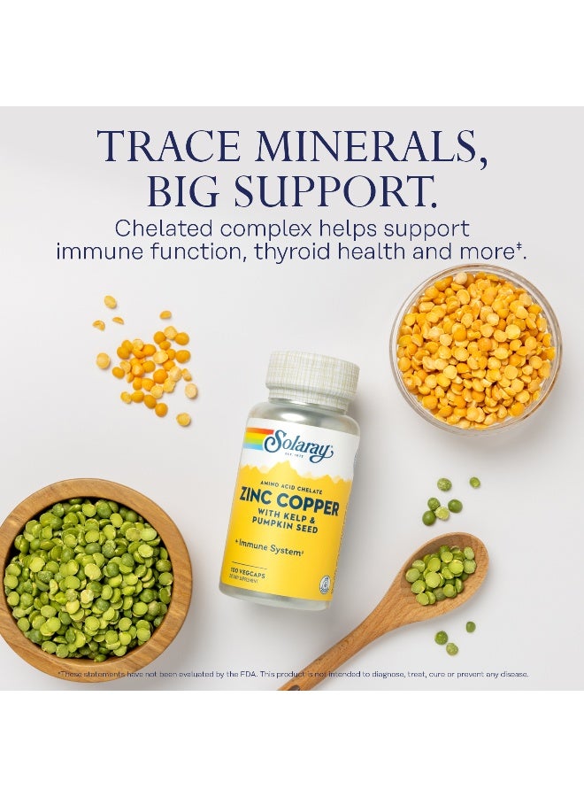 SOLARAY دعم المناعة ومضادات الأكسدة من الزنك والنحاس 100 كبسولة - Image 3