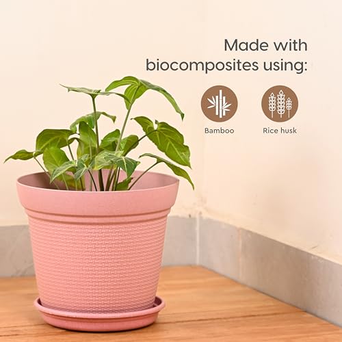 Eha Set of 4 Earth-Friendly Aura 8 Inch pots and Planters | Bamboo Based | UV Protected | for Indoor, Home Decor, Outdoor, Balcony & Garden | Multicolor - Image 3