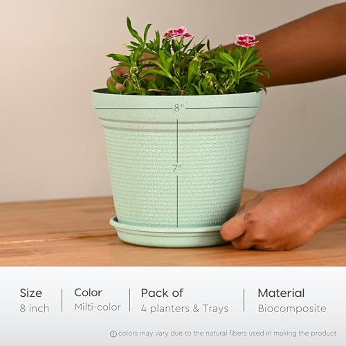 Eha Set of 4 Earth-Friendly Aura 8 Inch pots and Planters | Bamboo Based | UV Protected | for Indoor, Home Decor, Outdoor, Balcony & Garden | Multicolor - Image 2