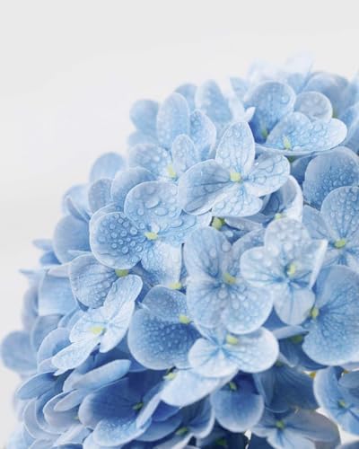 DuHouse 3Pcs Large Hydrangea Artificial FlowersLatex Real Touch Hydrangeas Lifelike Hydrangea Flower for Home Wedding Bouquets Centerpieces Party Living Room DecorationBlue - Image 3