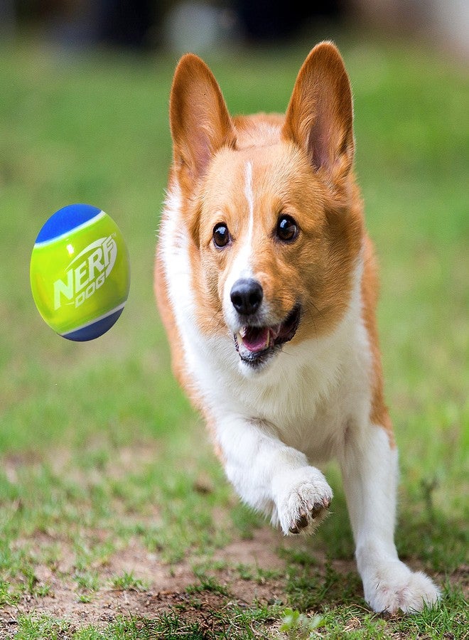 Nerf Dog Rubber Tennis Ball Squeak Toy, Durable, Water-Resistant, 2.5in, 2 Pack - Image 2