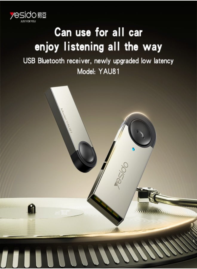 Yesido - Yesido YAU81 USB Wireless Audio Adapter Car Bluetooth Receiver - Image 1