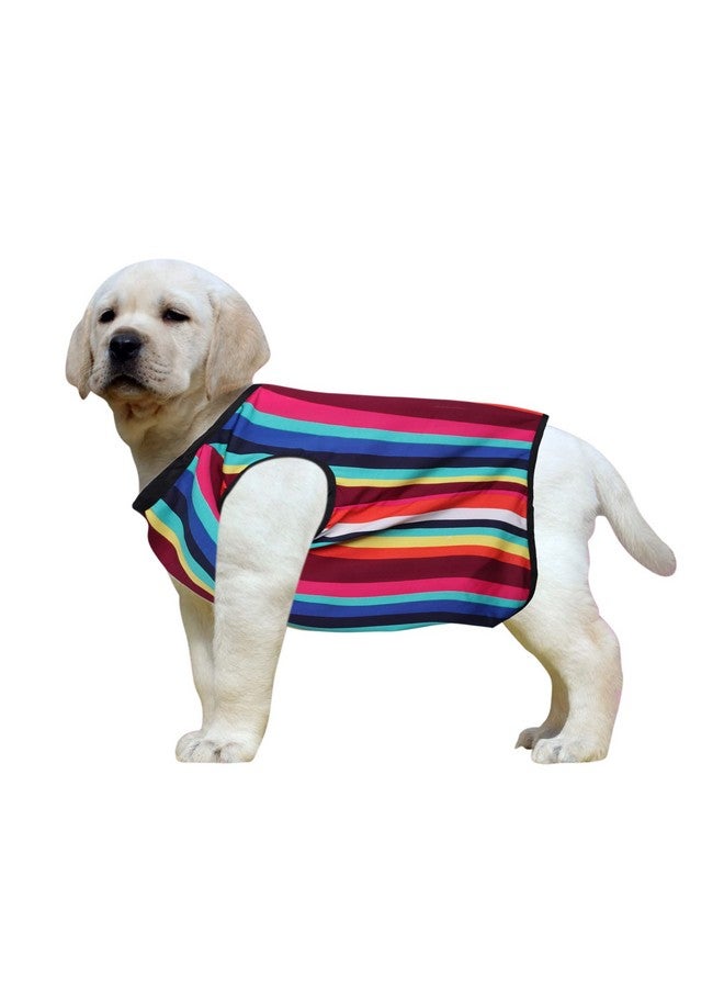 Western Era Funky Soft Cotton Dog T-Shirt | Comfortable & Breathable Dog Clothing | Sleeveless Vest Puppy Outfit |(Color Strips) (Xlarge) (26Inches) - Image 1