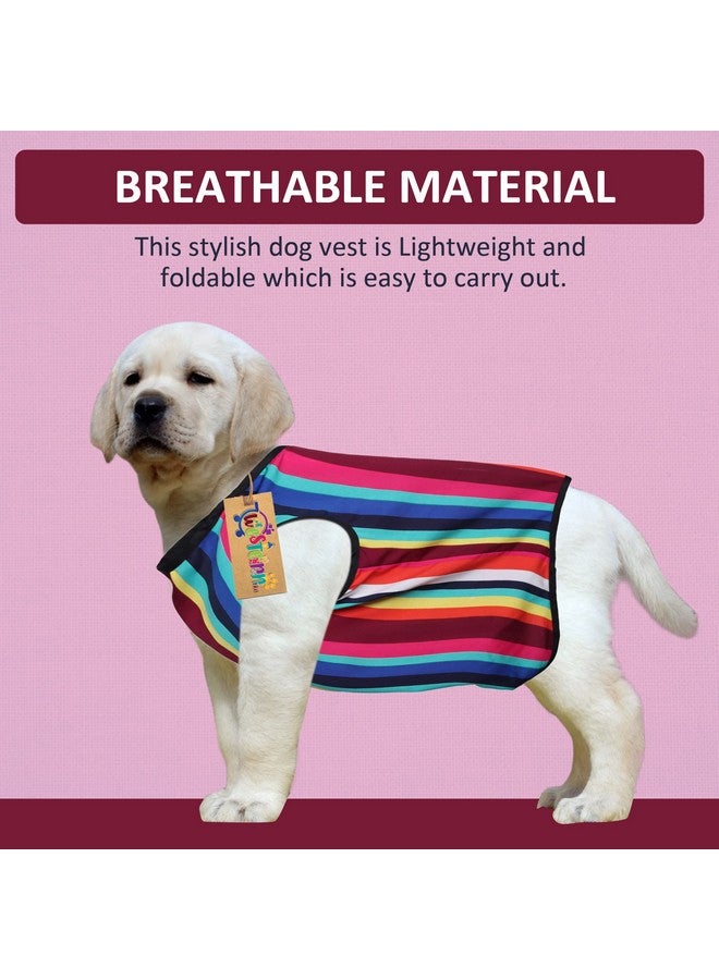 Western Era Funky Soft Cotton Dog T-Shirt | Comfortable & Breathable Dog Clothing | Sleeveless Vest Puppy Outfit |(Color Strips) (Xlarge) (26Inches) - Image 2