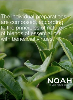 Noah Yal Deep Hydrating Shampoo with Hyaluronic Acid and Clary Sage - Organic, Cruelty and Sulfate Free, Vegan, Anti Frizz, Volumizing, Restoring, Anti Aging, Detangling Shampoo - 8.5 fl.oz (250 ml)  - Image 2