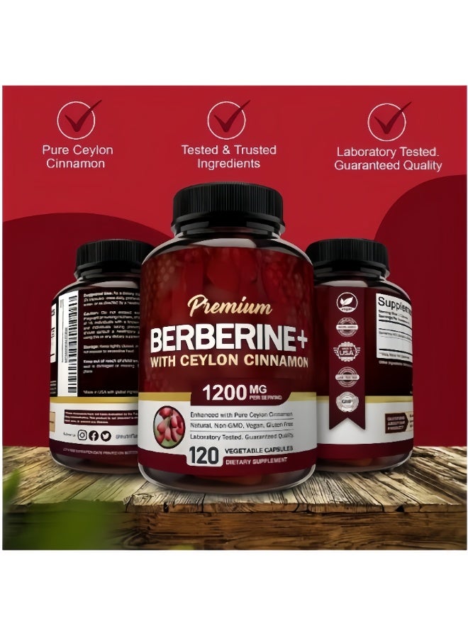 Premium Berberine+ with Ceylon Cinnamon 1200mg – 2 Bottles | Supports Immune System, Metabolic Health & Blood Sugar Balance, Cardiovascular Support | Non-GMO, Gluten-Free, Vegan Dietary Supplement - Image 4
