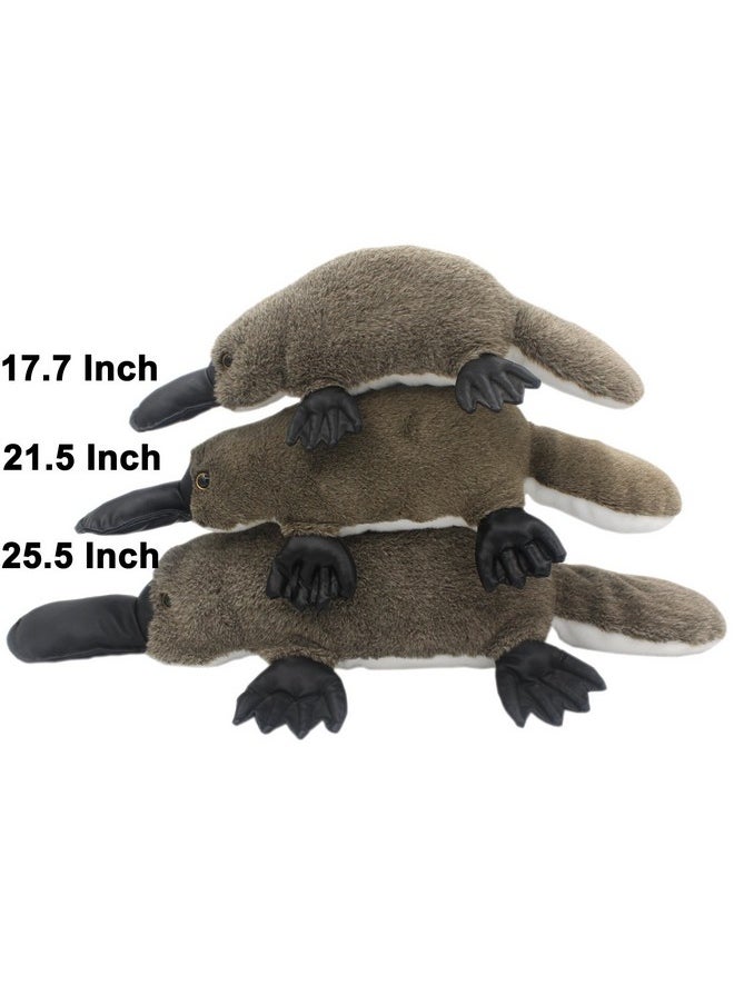 TAGLN Vivid Stuffed Animals Pillows Realistic The Platypus Lifelike Plush Toys Duckbill (21.5 Inch)  - Image 4