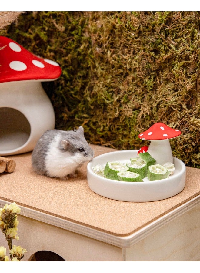 Niteangel Hamster Snack & Treats Toy - Small Animal Natural Treat for Dwarf Syrian Robo Hamsters Gerbils Mice Degus or Other Small-Sized Pets (Freeze-Dried Okra - 0.2oz (5.5g)) - Image 3