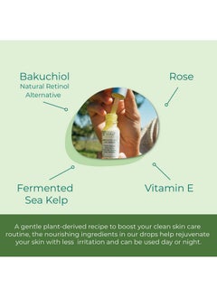 Sea-El Bakuchiol Kelp Eye Serum Plantbased Skincare Naturally Boosts Under Eye Glow Targets Deep Wrinkles & Supports Smooth Skin Retinol Alternative For Women Or Men Vegan .5 Oz  - Image 4