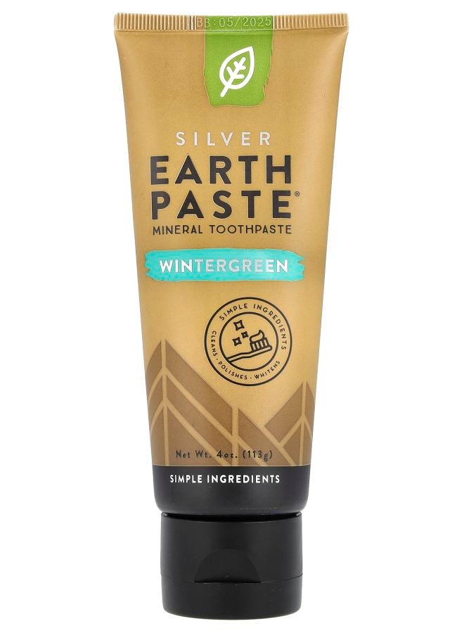معجون الأسنان المعدني الفضي Earth Paste® بنكهة شجرة الشتاء 4 أونصات (113 جرام)