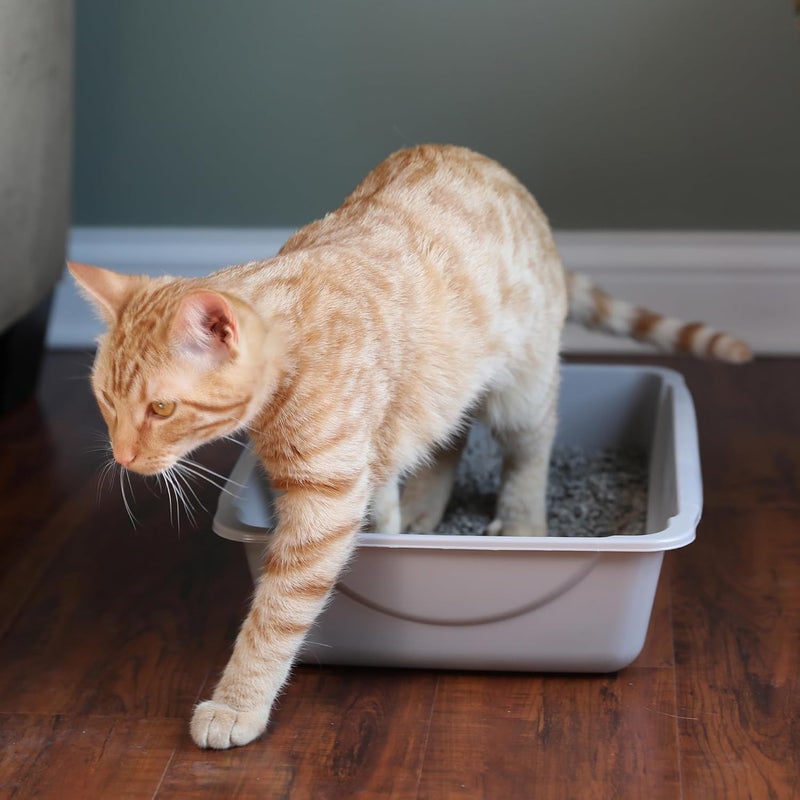 Petmate Easy clean surface Open Cat Litter Box,Mouse Grey, Small (14"x10.5"x3.5") Temp resistant - Image 2