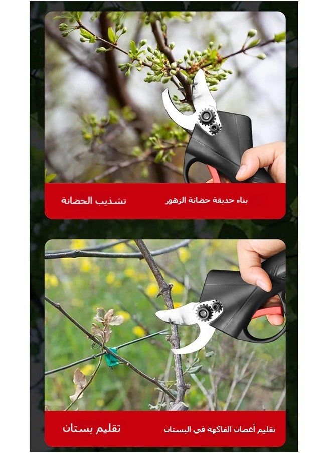 ماركة غير محددة - مقصات تقليم الأشجار المثمرة المنزلية المحمولة العاملة بالليثيوم أيون - Image 1