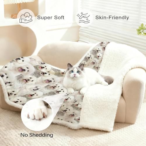 BlessLiving Bichon Frise Sherpa Fleece Throw Blanket Reversible Soft Fluffy Warm Cozy Dogs Blanket for Couch Bed Cute Puppy Animal Pattern Blankets Thoughtful Gift for Dog Lovers 50" x 60" - Image 2