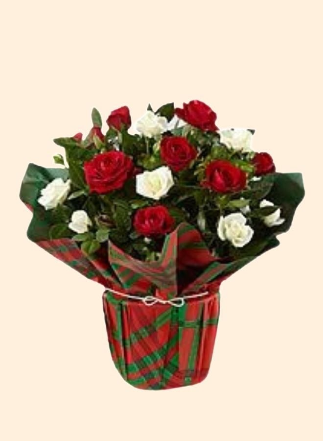 Christmas Festive Elegance Bouquet
