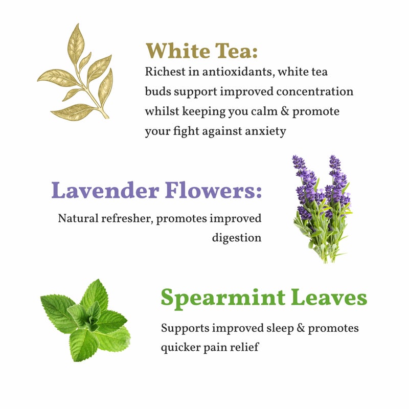 SAN-CHA Sancha Tea Boutique, Lavender White Tea, 25 Pyramid Bags, Silver Needles Tea, Calming & Relaxing Leaves, Lavender Flower Blend - Image 4