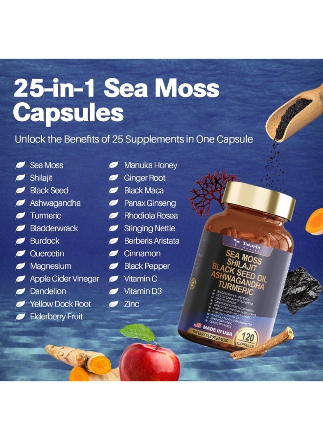 توتاريا تركيبة ٢٥ في ١ مع طحالب البحر، وشيلاجيت، وبربرين، وفيتامينات C وD3، مركب لدعم المناعة، والأمعاء، والطاقة، ١٢٠ كبسولة - Image 2