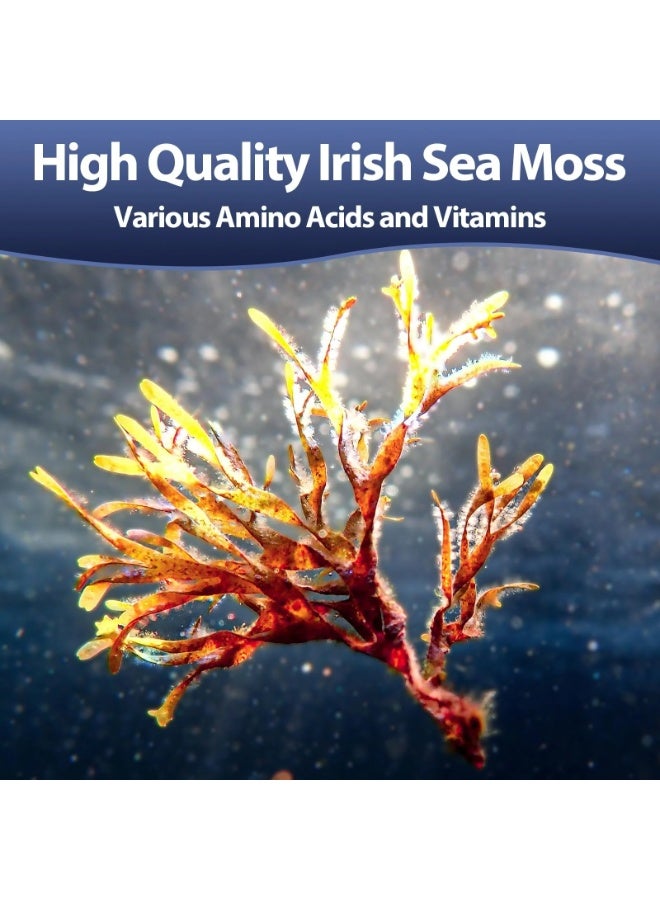 توتاريا تركيبة ٢٥ في ١ مع طحالب البحر، وشيلاجيت، وبربرين، وفيتامينات C وD3، مركب لدعم المناعة، والأمعاء، والطاقة، ١٢٠ كبسولة - Image 4