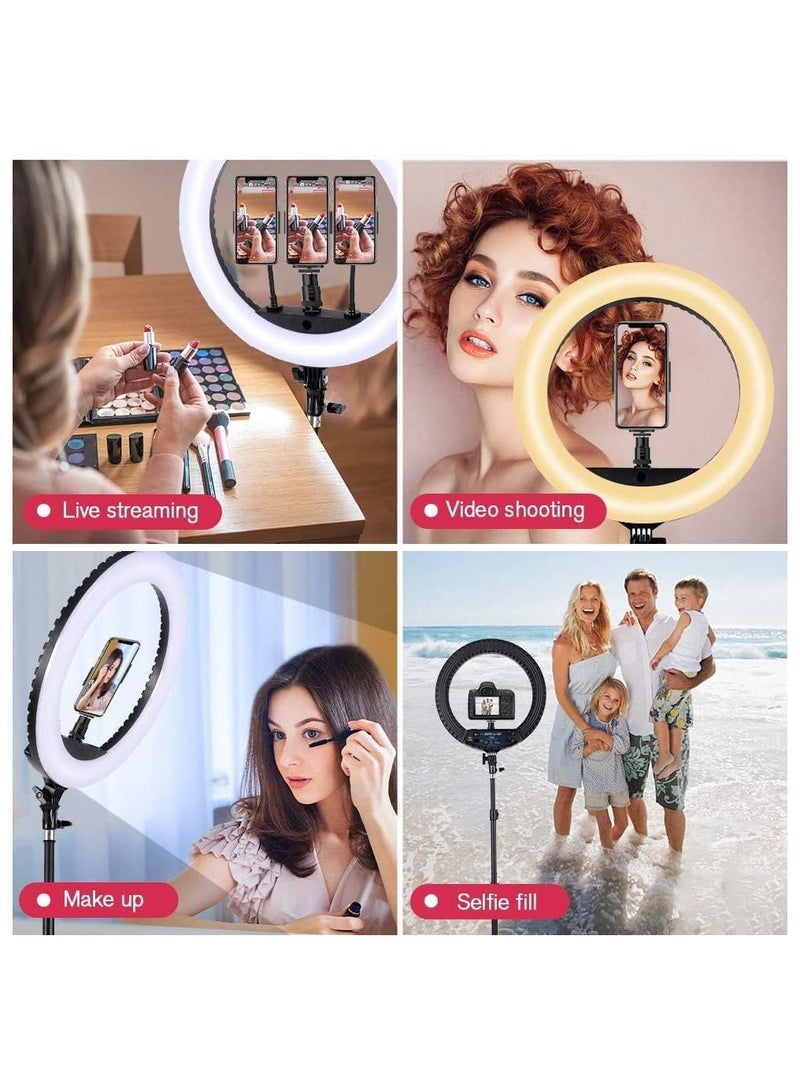 RL 14-Inch Dimmable LED Ring Light with Tripod Stand and Remote Control for Makeup, Selfies, YouTube Videos, and Studio Portraits and stand – Includes Carrying Bag CRI 90 - Image 2