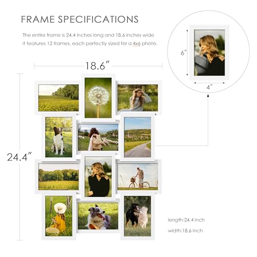 DUENPY 4x6 Picture Frame Collage, 12-Pack Picture Frames Collage Wall Decor, Set with Glass Front, Assembly Required, White - Image 2