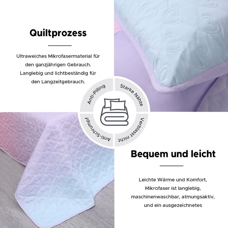 SCHNAUZER HOME Twin Size 2 Piece Quilt Set, Bailey Printed Bedding Coverlet Set, Lightweight Soft Reversible Bedspread Sets for All Season (1 Quilt & 1 Pillow Shams) - Image 4