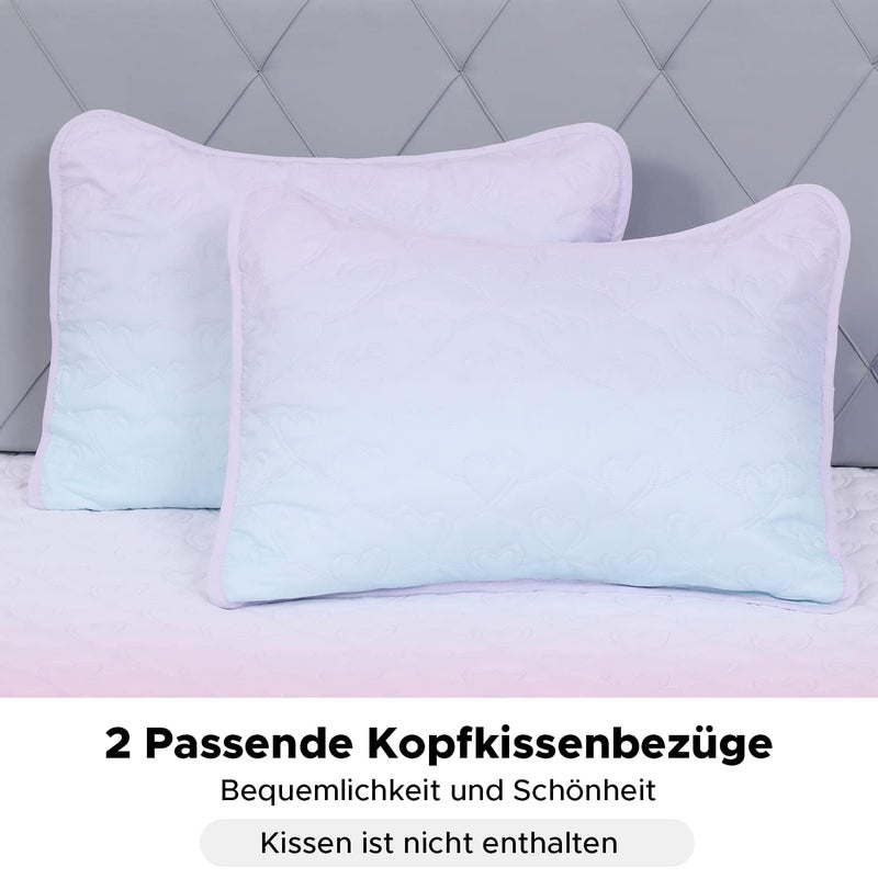 SCHNAUZER HOME Twin Size 2 Piece Quilt Set, Bailey Printed Bedding Coverlet Set, Lightweight Soft Reversible Bedspread Sets for All Season (1 Quilt & 1 Pillow Shams) - Image 5
