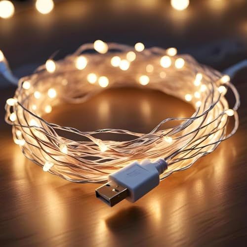 Lexton Decorative USB Copper String Fairy Light | 5 Meter, 50 LED, USB Plug-in | Best for Decoration, Christmas, Diwali (Pack of 1, Warm White) - Image 1