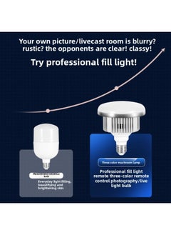 Generic Live Fill Light Photography Light Live Light Beauty Photography Special Soft Light Studio Lighting Light E27 Lamp Holder-Light Source Color:Double Lamp [330W White Light] + Softbox +2.1m Bracket  - Image 3