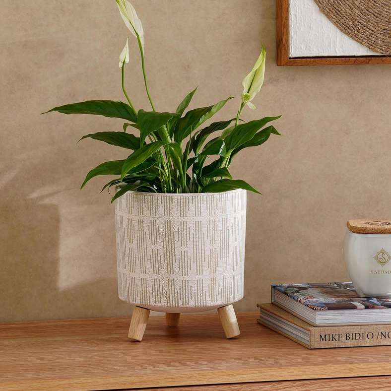 Pan Home وعاء فيليكس من الطين مع قاعدة خشبية - أبيض