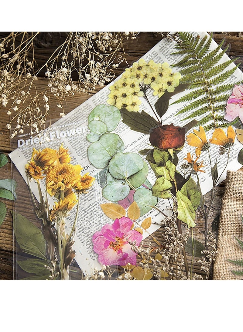 KASTWAVE Waterproof Plants Stickers Set, 48 Pcs Vintage Plants Flowers Collection Natural Sticker for Decoration Planners Scrapbook Laptops - Image 2