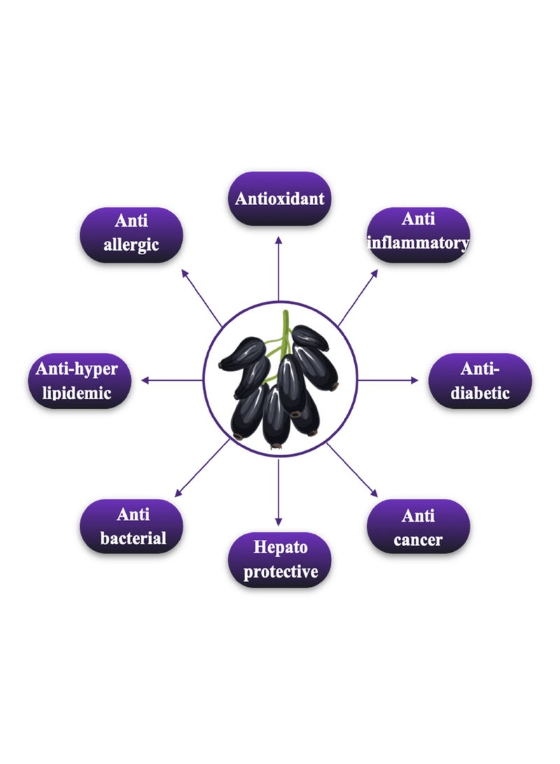 Be Natural Jamun powder – 100 gm - Image 3