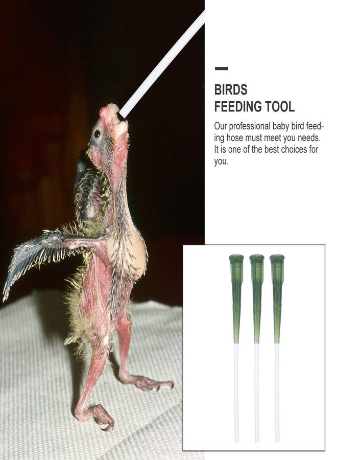 Balacoo 6Pcs Baby Bird Feeding Hose Kit: Soft Pet Parrot Milk Feeding Tubes for Newborn Birds, Small Animals, Parrot Milk Feeder- Easy to Clean, 3.54 Inch - Image 2