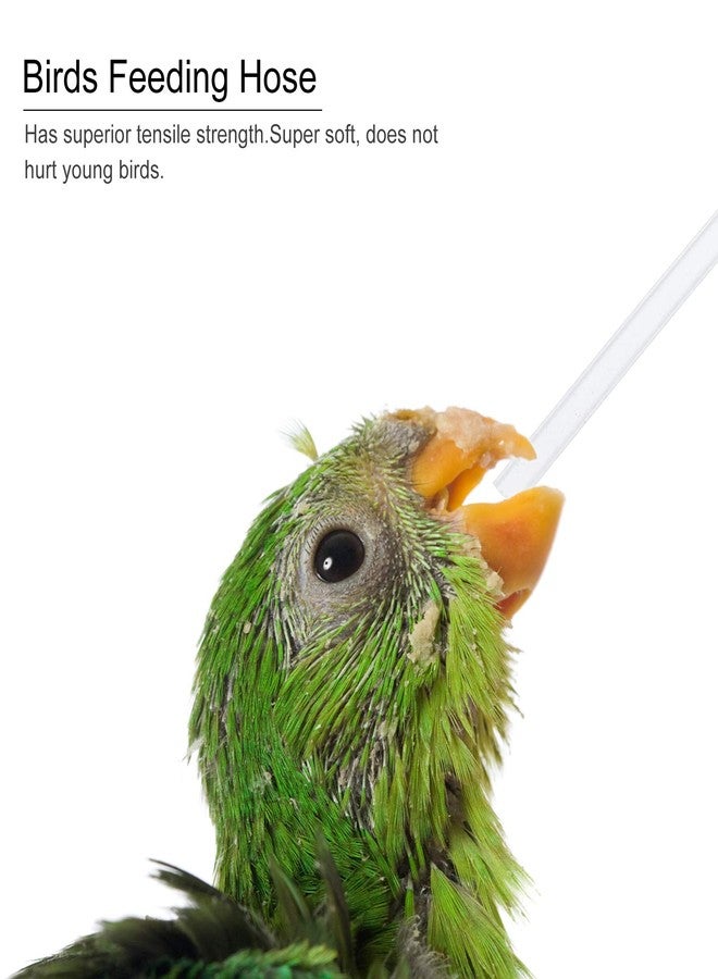 Balacoo 6Pcs Baby Bird Feeding Hose Kit: Soft Pet Parrot Milk Feeding Tubes for Newborn Birds, Small Animals, Parrot Milk Feeder- Easy to Clean, 3.54 Inch - Image 5