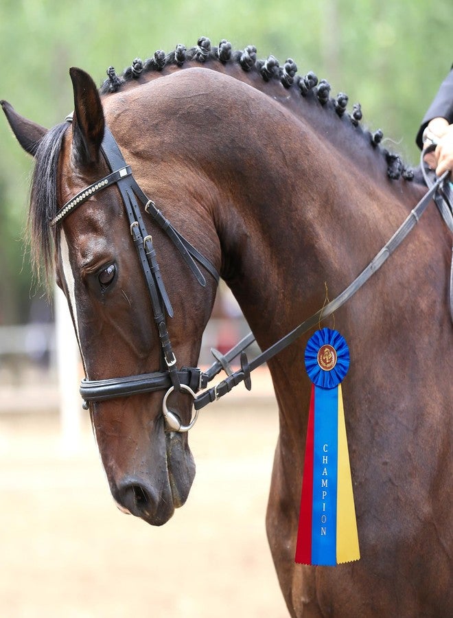 Hotop 10 Pcs Award Ribbons Set Horses Show Champion Prize Winner Ribbon with Event Card Winner Victory Recognition Participation Award for Competition, Sport Event, School, Graduation, Blue and Red - Image 2