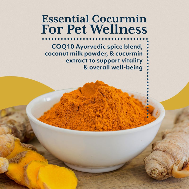 Ayush Herbs Ayush Pet CoCurcumin with CoQ10 - Curcumin Powder with Coconut MCTs for Dogs and Cats, Turmeric Superfood Supplement for Small or Large Pets, Immune, Joint and Cognitive Support - 5.2 oz - Image 4