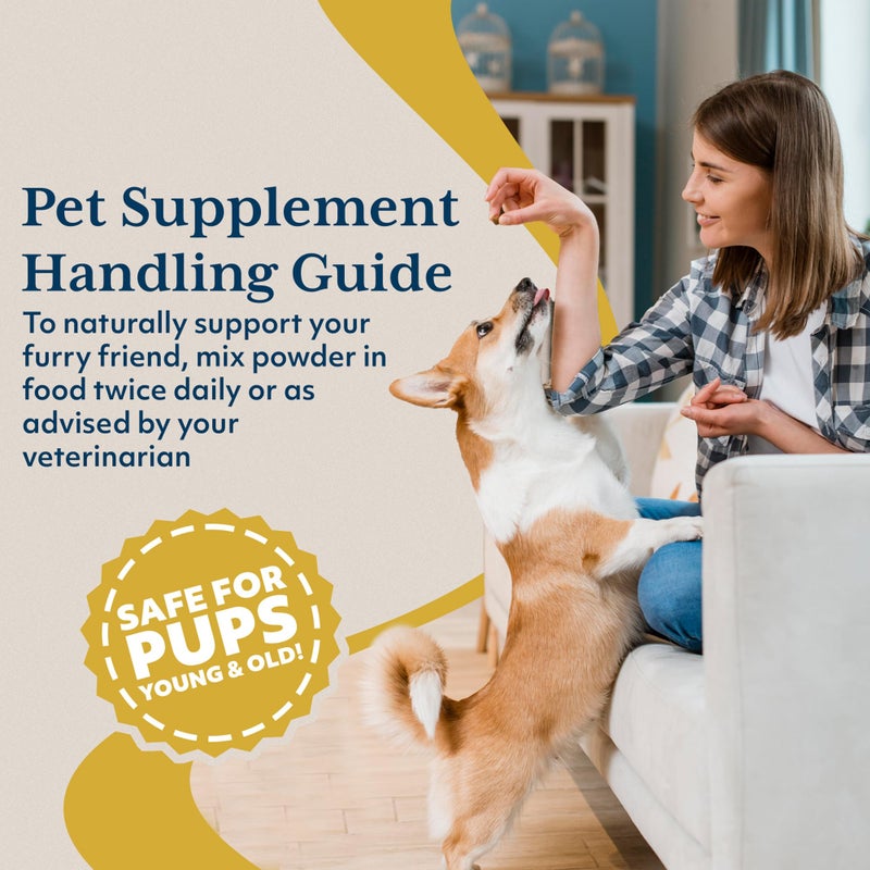Ayush Herbs Ayush Pet CoCurcumin with CoQ10 - Curcumin Powder with Coconut MCTs for Dogs and Cats, Turmeric Superfood Supplement for Small or Large Pets, Immune, Joint and Cognitive Support - 5.2 oz - Image 5