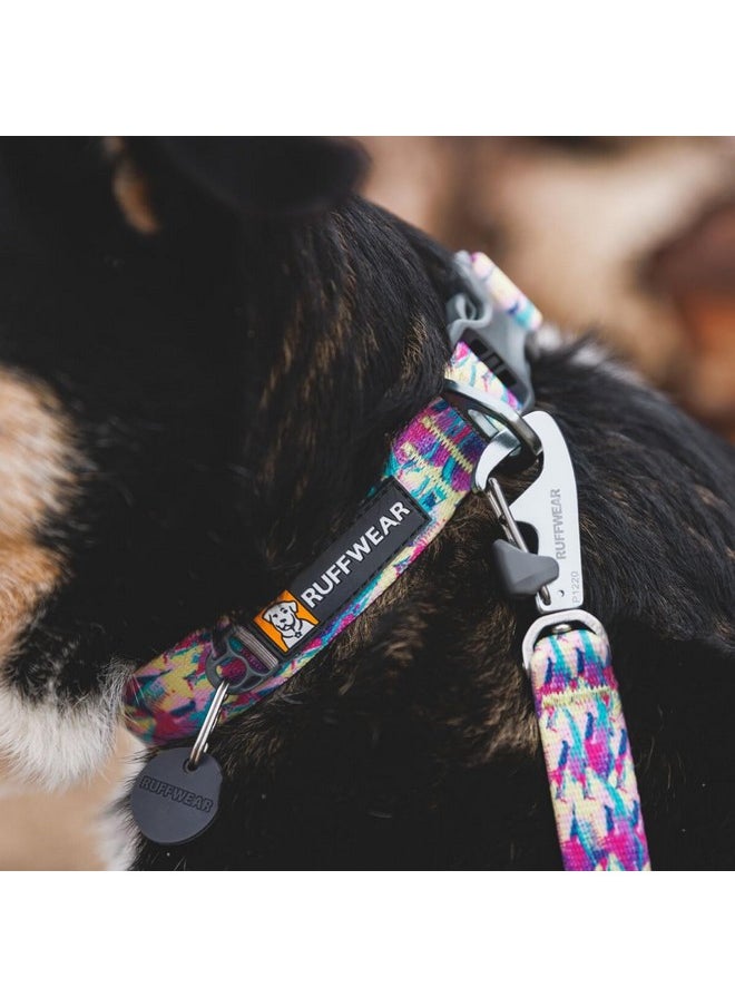 RUFFWEAR Ruffwear, Front Range Dog Collar, Durable and Comfortable Collar for Everyday Use, River Rock Green, 20"-26"  - Image 3