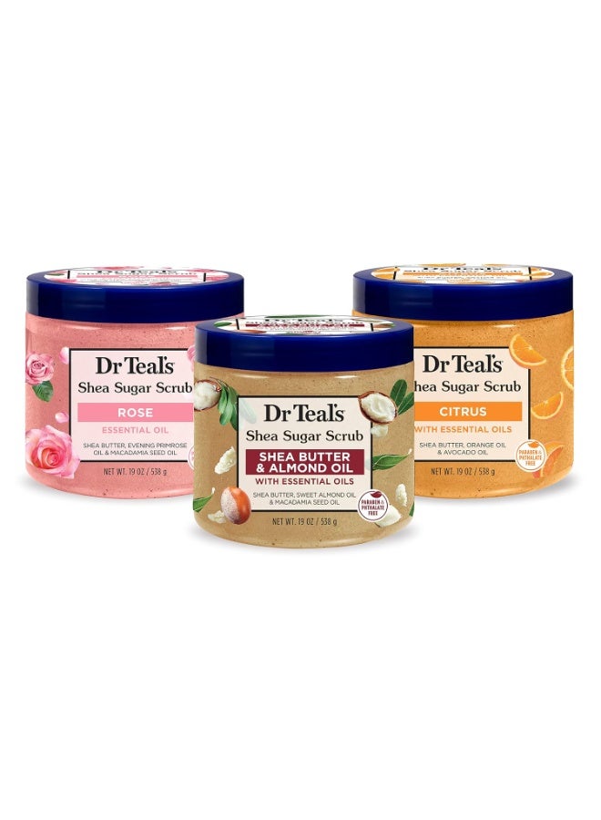 Dr Teal's Dr Teal's Shea Sugar Scrub Trial Pack, Rose, Shea Butter, Citrus 19 oz (Pack of 3)  - Image 1