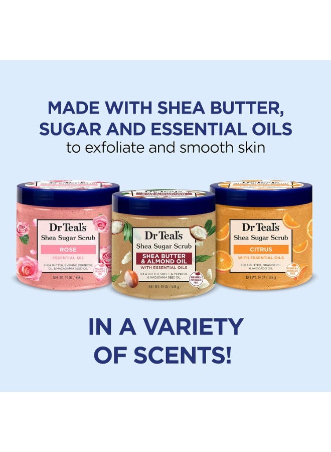 Dr Teal's Dr Teal's Shea Sugar Scrub Trial Pack, Rose, Shea Butter, Citrus 19 oz (Pack of 3)  - Image 4